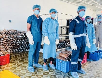 Team packing spawn in the lab