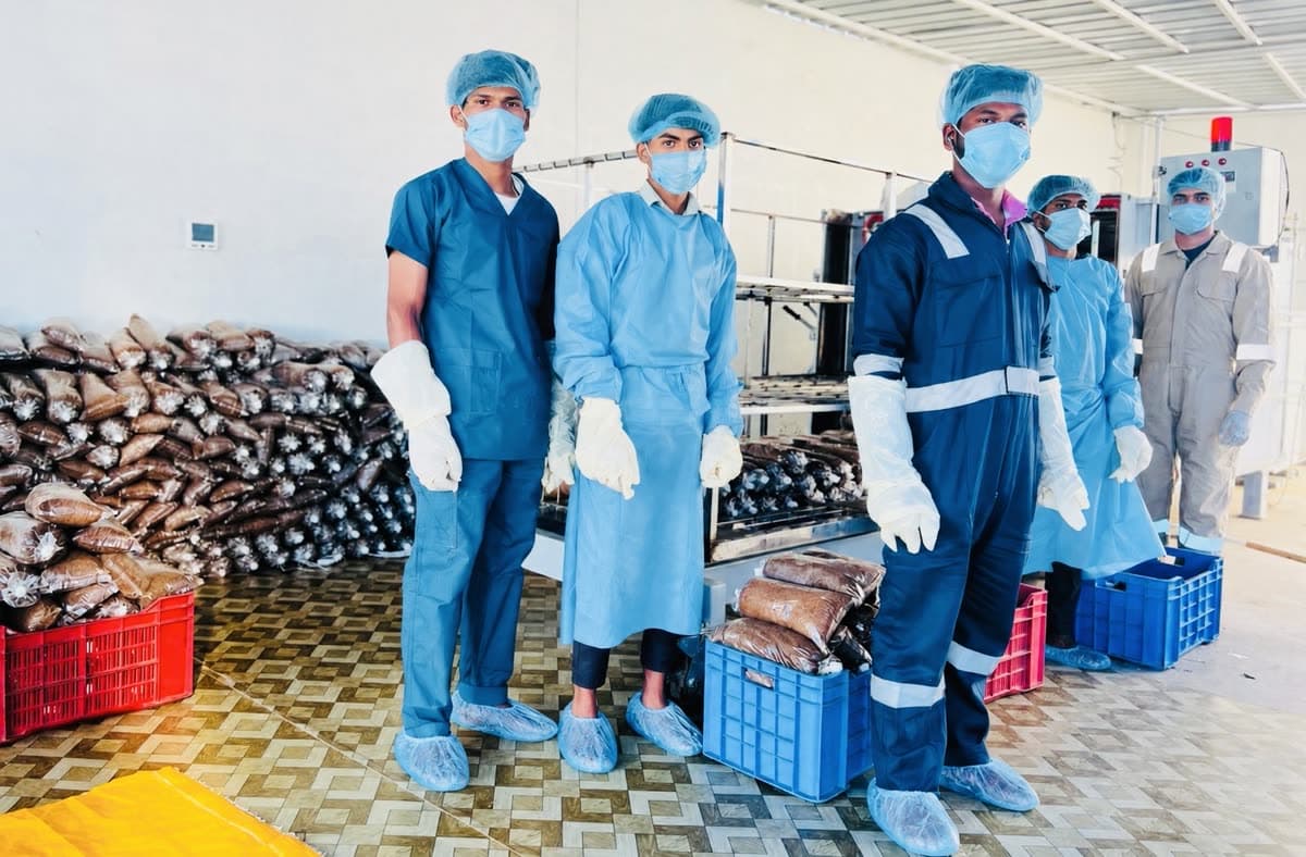 Production team in protective clothing beside prepared substrate bags